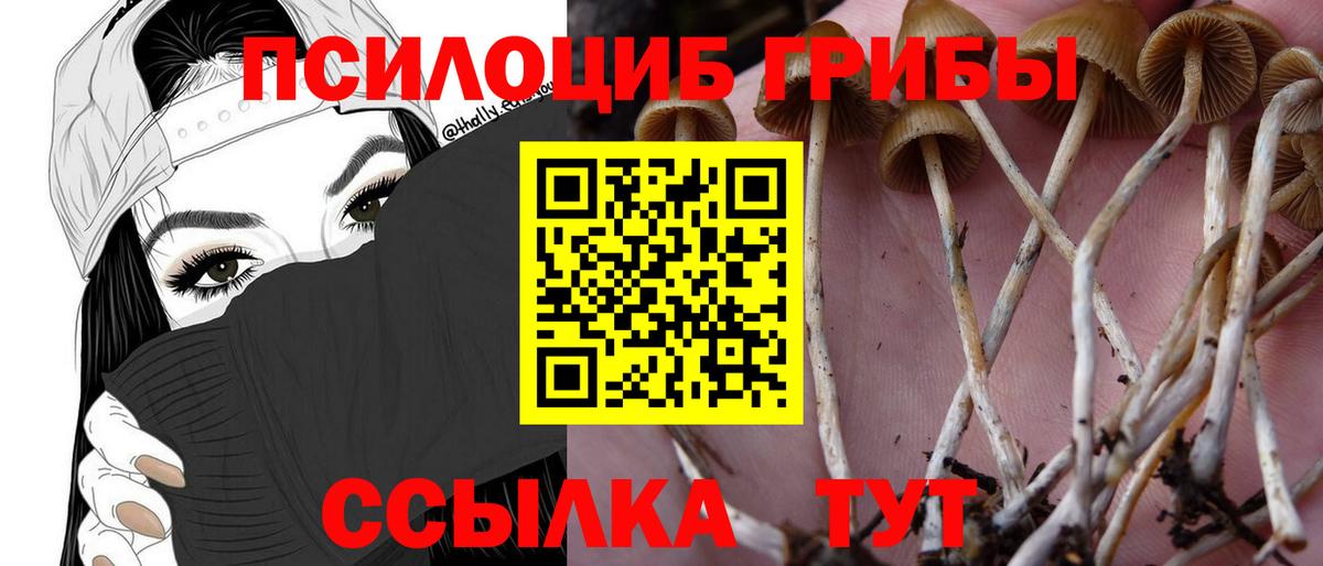 Псилоцибиновые грибы мухоморы  Галлюциногенные грибы Magic Shrooms  Вход с VPN  Электросталь 