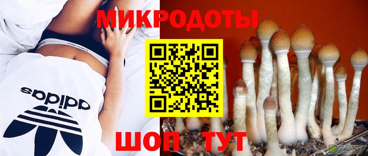 Галлюциногенные грибы Cubensis Электросталь